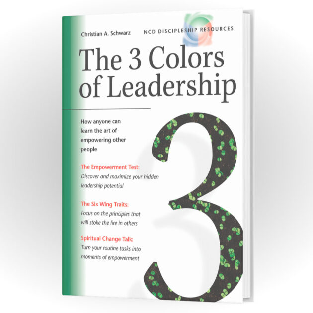 Composition The 3 Colors of Leadership